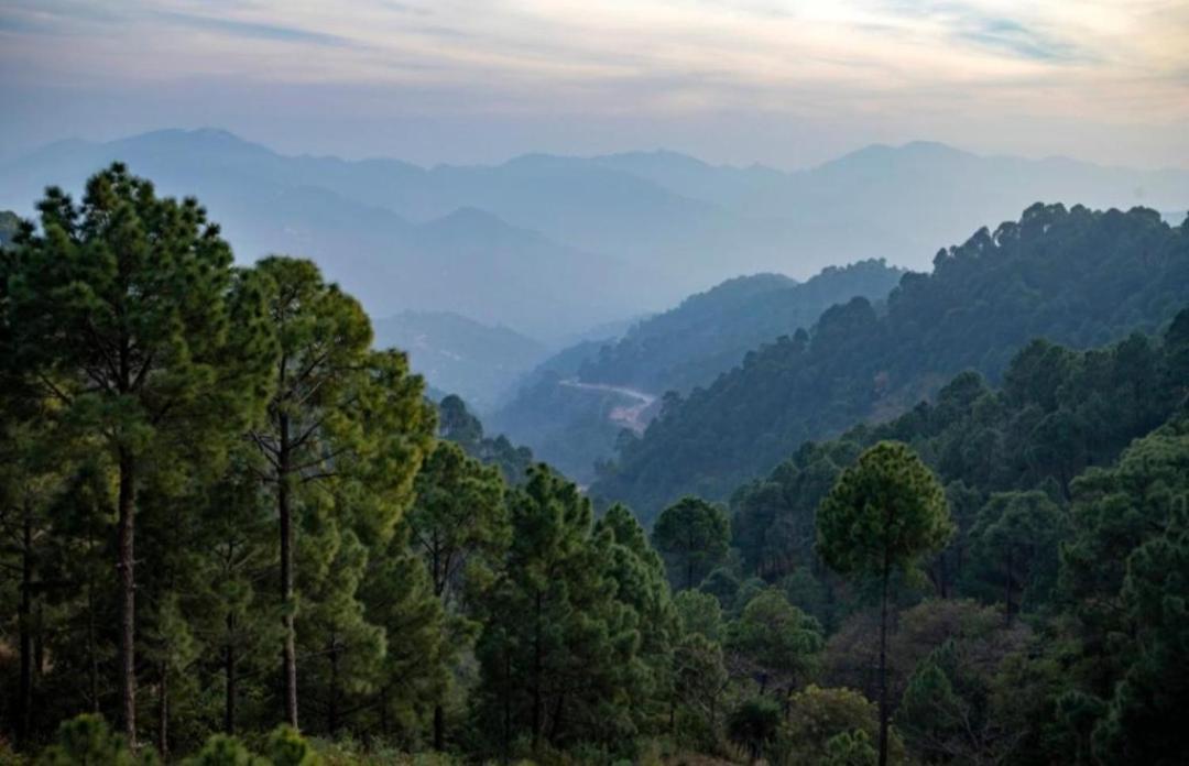 The Kasauli Western Uphills I Serviced Apartments I Pvt Balcony I Peacefull Area I By Exotic Stays Exteriér fotografie