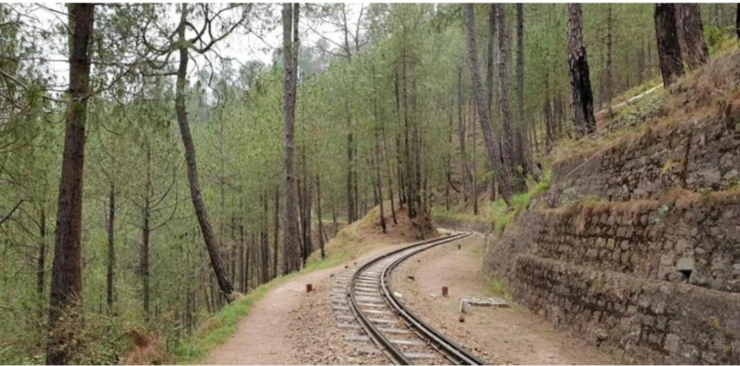 The Kasauli Western Uphills I Serviced Apartments I Pvt Balcony I Peacefull Area I By Exotic Stays Exteriér fotografie